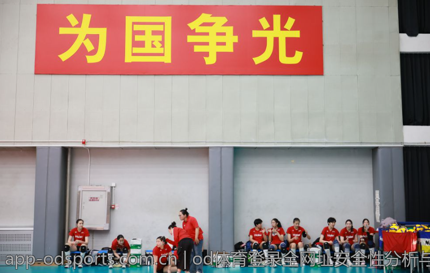 od体育登录全网址安全性分析与评测