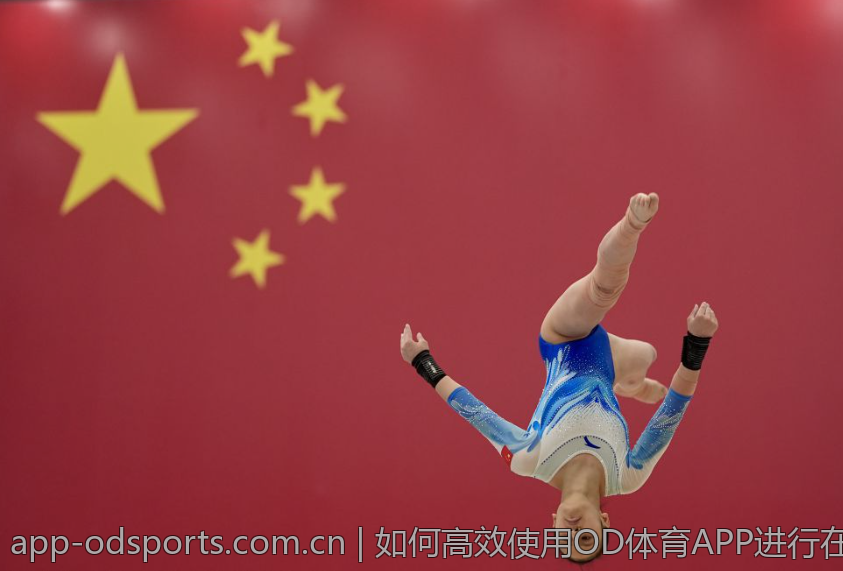 如何高效使用OD体育APP进行在线投注